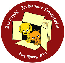 Άλλο ένα αδέσποτο σκυλάκι πάει σχολείο στην Παραλίμνη